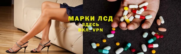 индика Покровск