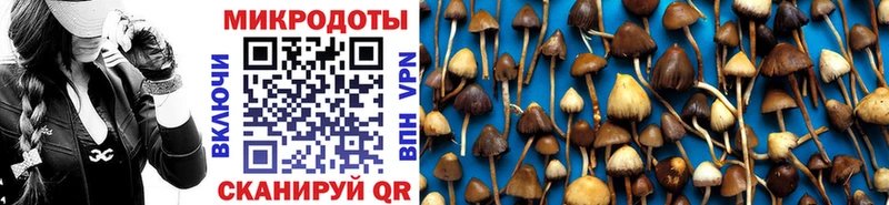 Галлюциногенные грибы Cubensis  Купить  Звенигород 
