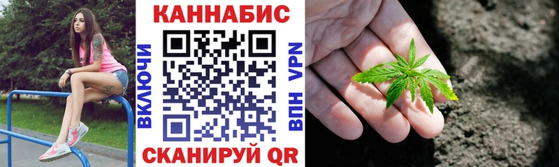 Канабис OG Kush  Купить  Звенигород 